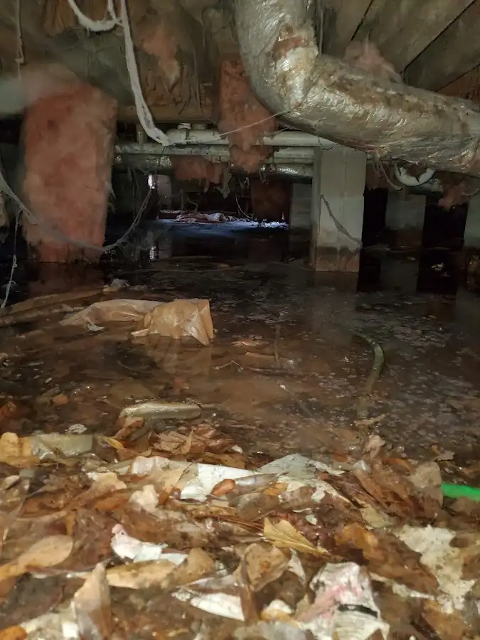 Crawl space flood assessment for Leak Detection & Repair in Venersborg