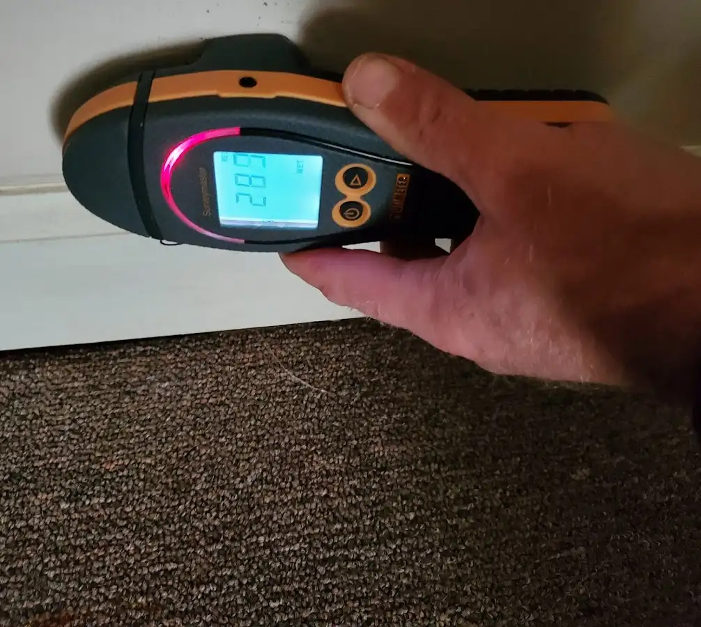 Moisture detection at baseboard during Mold Inspection & Testing in Venersborg